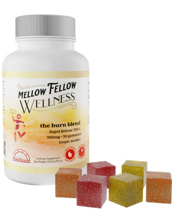 MELLOW FELLOW WELLNESS GUMMIES 300mg