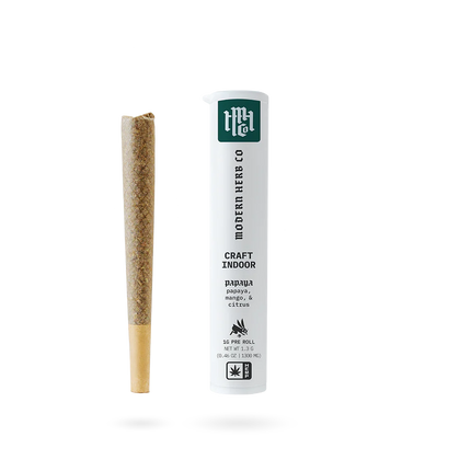 MODERN HERB 1G THCA PRE ROLL (24CT BOX)