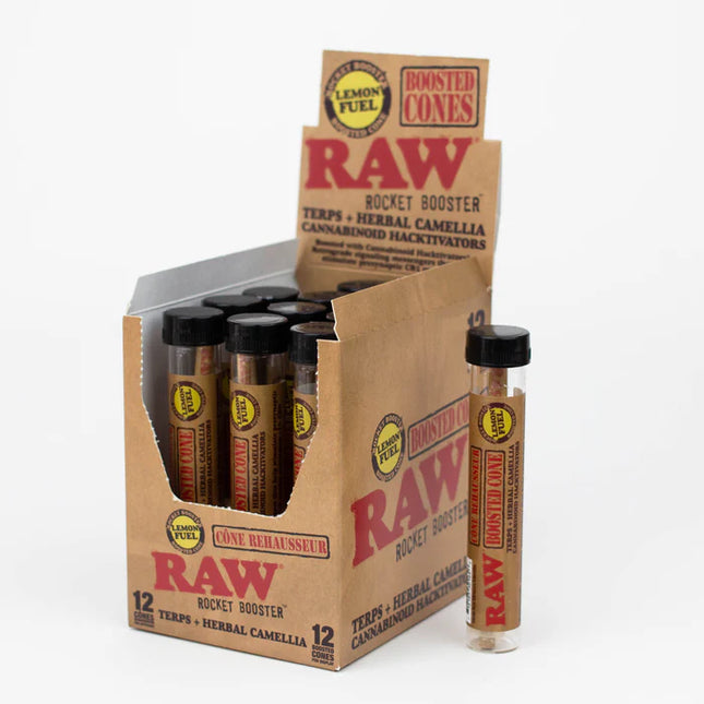 RAW ROCKET BOOSTER TERPS + HERBAL CANNABINOID CONES (12 BOOSTED CONES PER BOX)