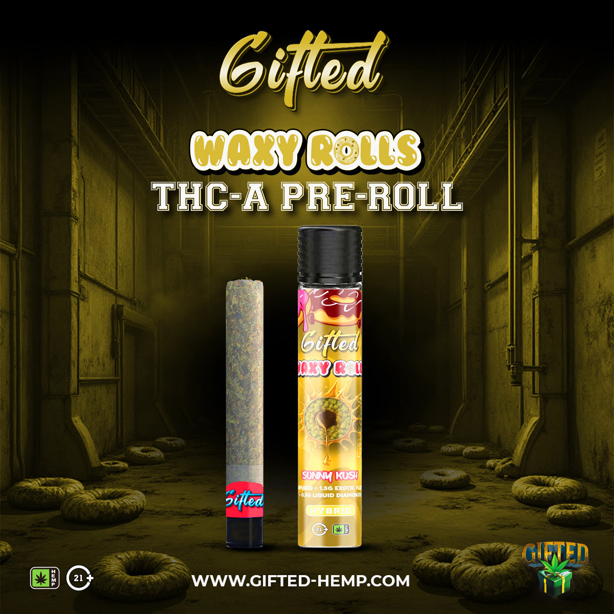 GIFTED 2G THC-A HEXA FLAVOR HASH HOLES (24CT/BOX) | ASSORTED FLAVORS