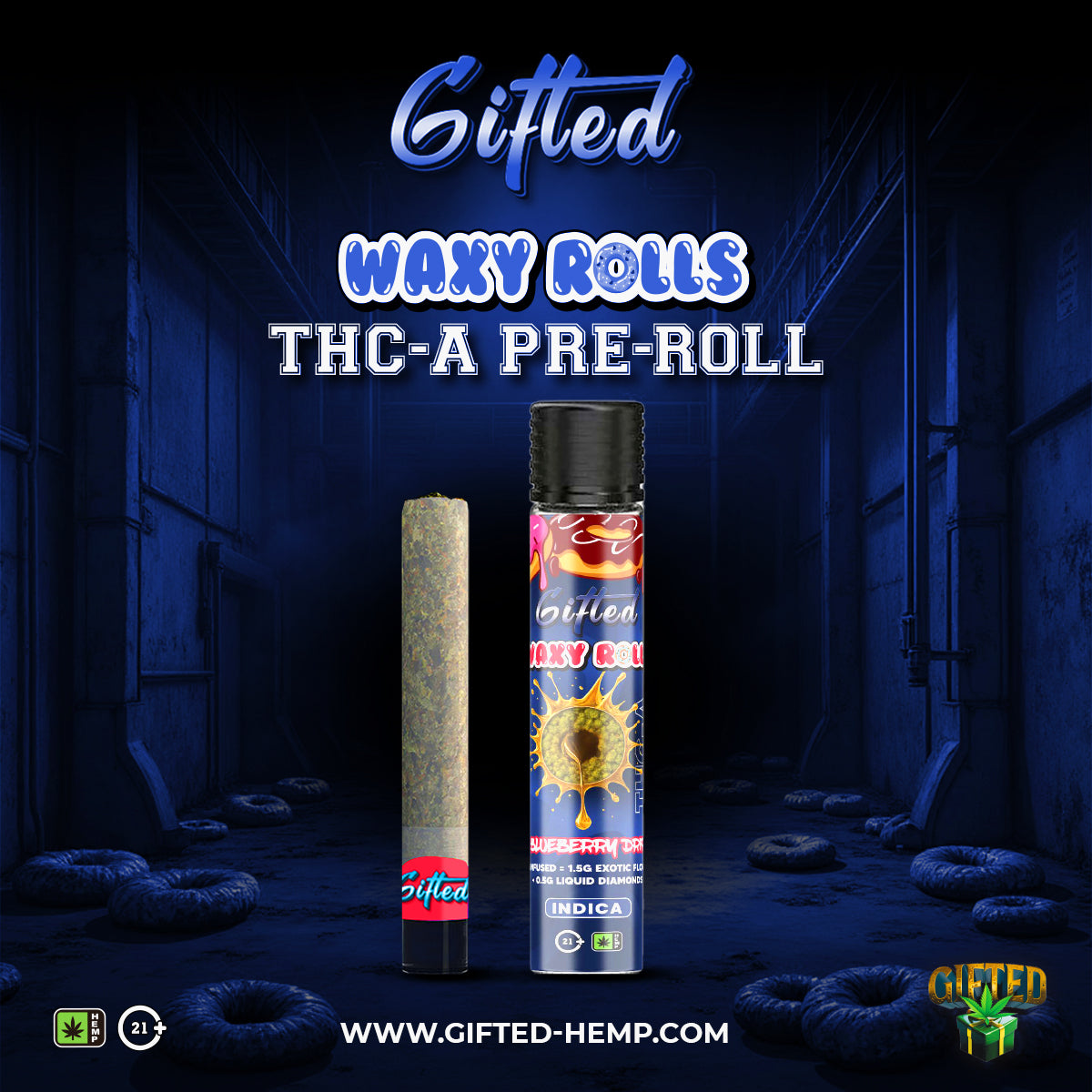 GIFTED 2G THC-A HEXA FLAVOR HASH HOLES (24CT/BOX) | ASSORTED FLAVORS