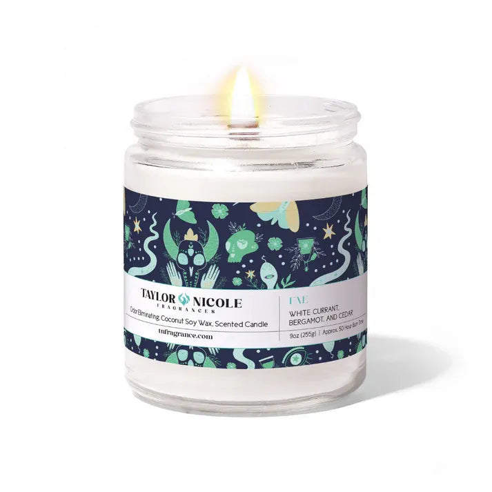 TN FRAGRANCES 9OZ ODOR ELIMINATING CANDLE JAR