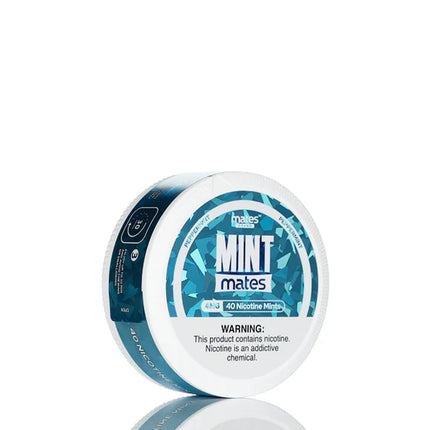 MINT MATES NICOTINE MINTS (40CT/PACK)