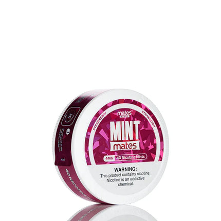 MINT MATES NICOTINE MINTS (40CT/PACK)