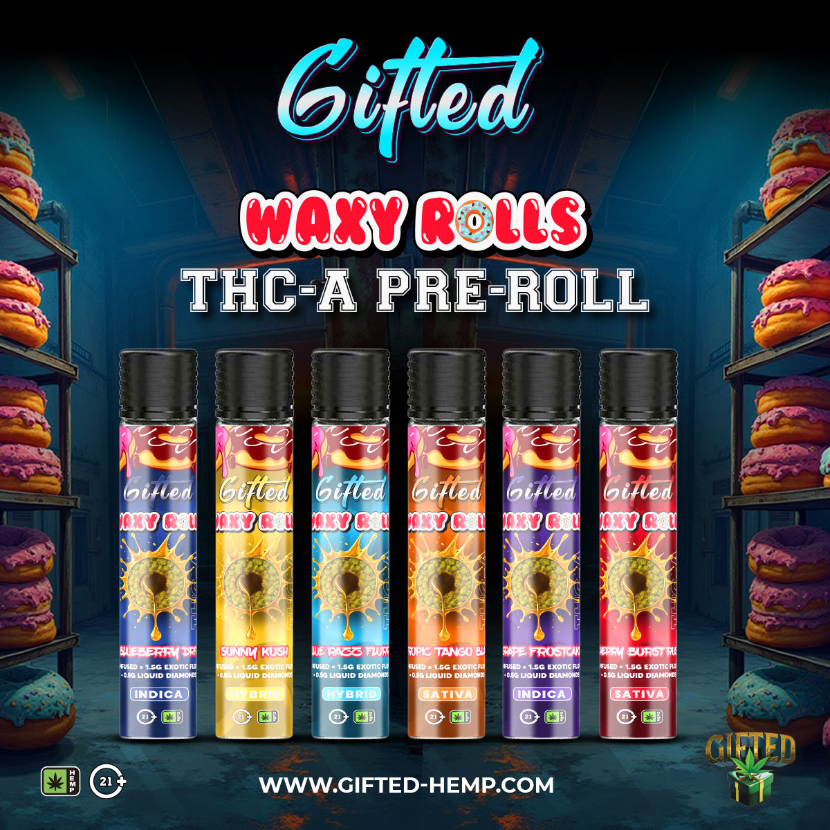 GIFTED 2G THC-A HEXA FLAVOR HASH HOLES (24CT/BOX) | ASSORTED FLAVORS