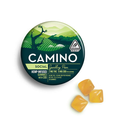 CAMINO D9 THC INFUSED GUMMIES 100MG PER TIN