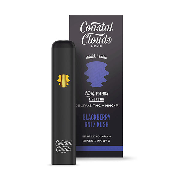 COASTAL CLOUDS 2G DISPOSABLE VAPE Rising Wholesale Inc. COASTAL CLOUDS 2G DISPOSABLE VAPE Rising Wholesale Inc.