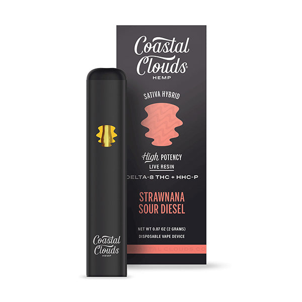 COASTAL CLOUDS 2G DISPOSABLE VAPE  Rising Wholesale Inc.