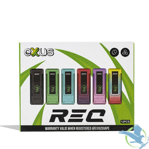 EXXUS REC CARTRIDGE BATTERY 12CT/DISPLAY ASSORTED COLORS