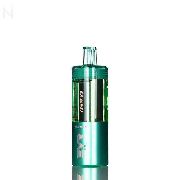 EVR FOG 100K PUFFS KIT (5CT DISPLAY)