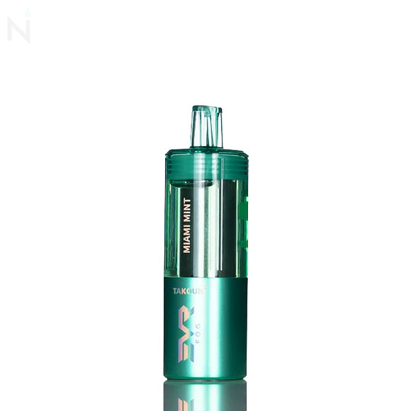 EVR FOG 100K PUFFS KIT (5CT DISPLAY)