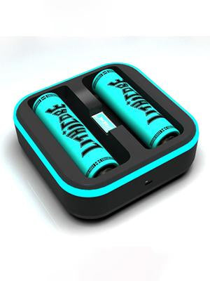 LITHICORE PULSE 2 BAY CHARGER