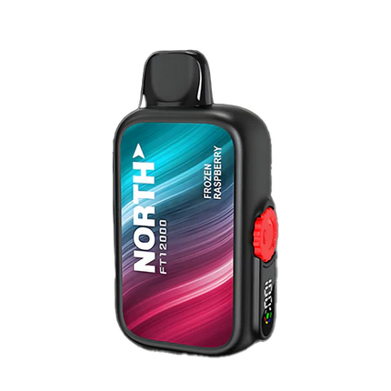 NORTH FT12000 5% DISPOSABLE 10CT/DISPLAY