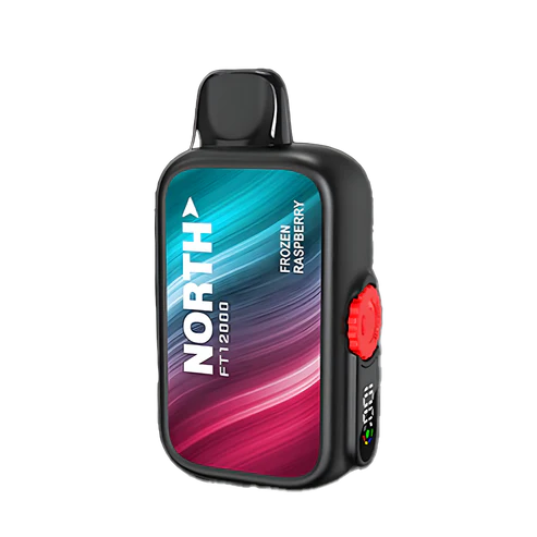 NORTH FT12000 5% DISPOSABLE 10CT/DISPLAY