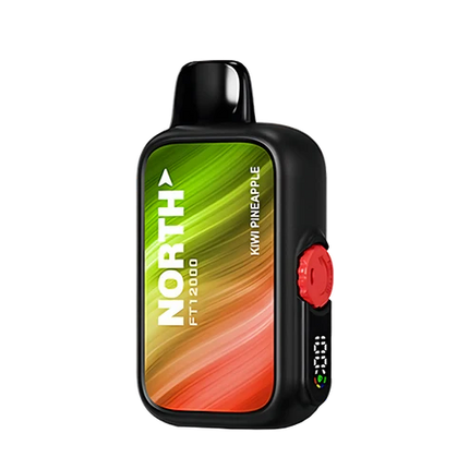 NORTH FT12000 5% DISPOSABLE 10CT/DISPLAY