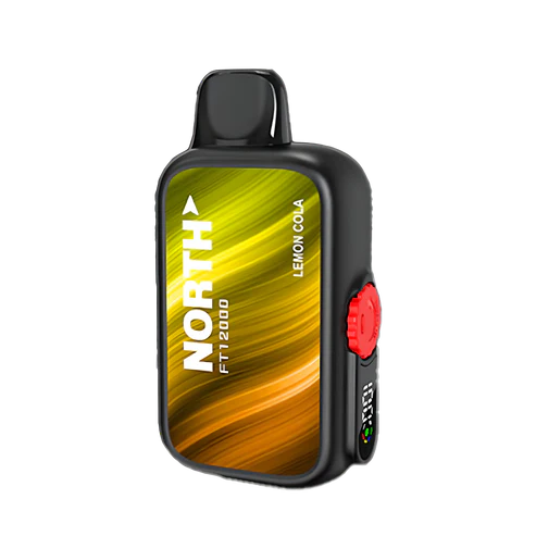 NORTH FT12000 5% DISPOSABLE 10CT/DISPLAY