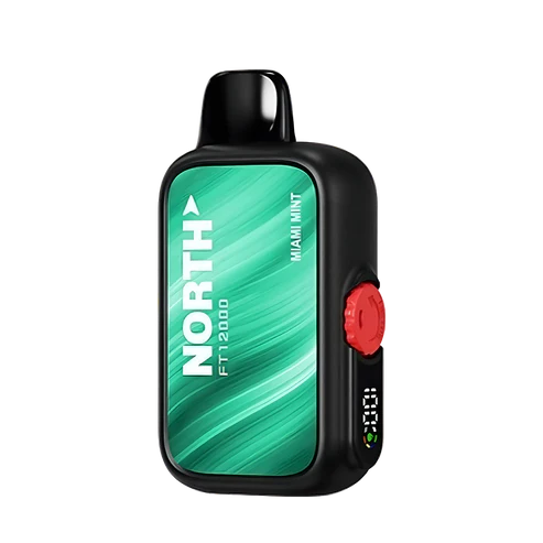 NORTH FT12000 5% DISPOSABLE 10CT/DISPLAY