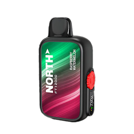 NORTH FT12000 5% DISPOSABLE 10CT/DISPLAY