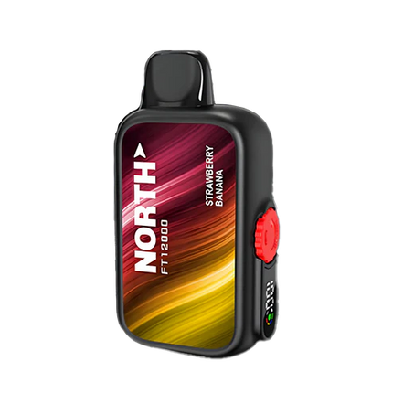 NORTH FT12000 5% DISPOSABLE 10CT/DISPLAY