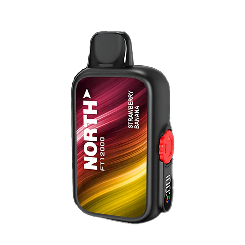 NORTH FT12000 5% DISPOSABLE 10CT/DISPLAY