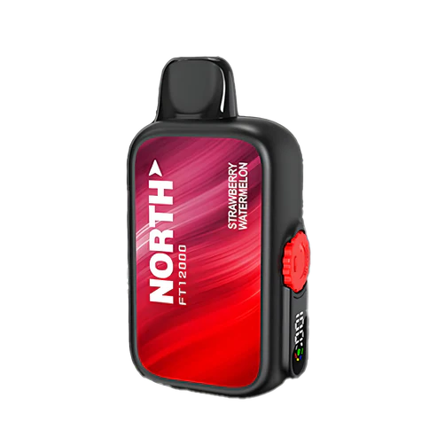 NORTH FT12000 5% DISPOSABLE 10CT/DISPLAY