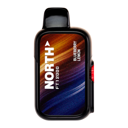 NORTH FT12000 5% DISPOSABLE 10CT/DISPLAY