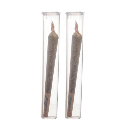 CUTLEAF THC-A ICE PRE-ROLLS 2CT/PACK BLUEBERRY ICE (SATIVA) 850046820939