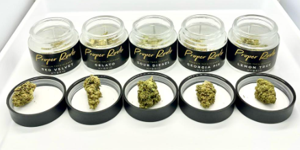 PROPER ROOTS 3.5 GRAM INDOOR THCA FLOWER – Rising Wholesale Inc.