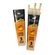 FRUIT CONES 2 KING SIZE CONES/PK 10PK/BOX