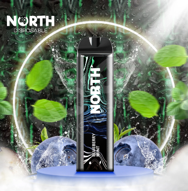 NORTH 5000 PUFFS DISPOSABLE (10CT DISPLAY)