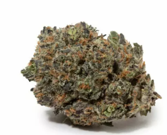 KUSH CBD 7 GRAM FLOWER 0% THC