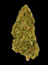 KUSH CBD 7 GRAM FLOWER 0% THC