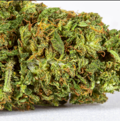KUSH CBD 7 GRAM FLOWER 0% THC