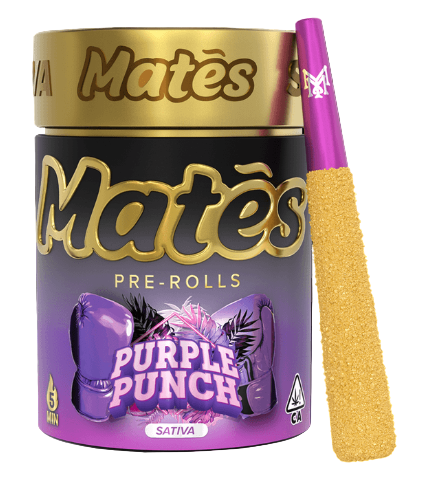 MUHA MEDS MATES 3G THC-A KIEF INFUSED PRE ROLLS (5CT JAR)