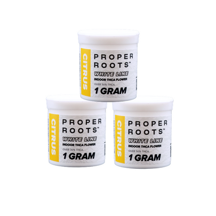 PROPER ROOTS WHITE LINE INDOOR 1 GRAM THCA FLOWER (20CT JAR)