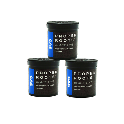 PROPER ROOTS BLACK LINE INDOOR 1 GRAM THCA FLOWER (20CT JAR)