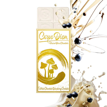 CARPE DIEM MUSHROOM MICRO DOSE CHOCOLATE BAR