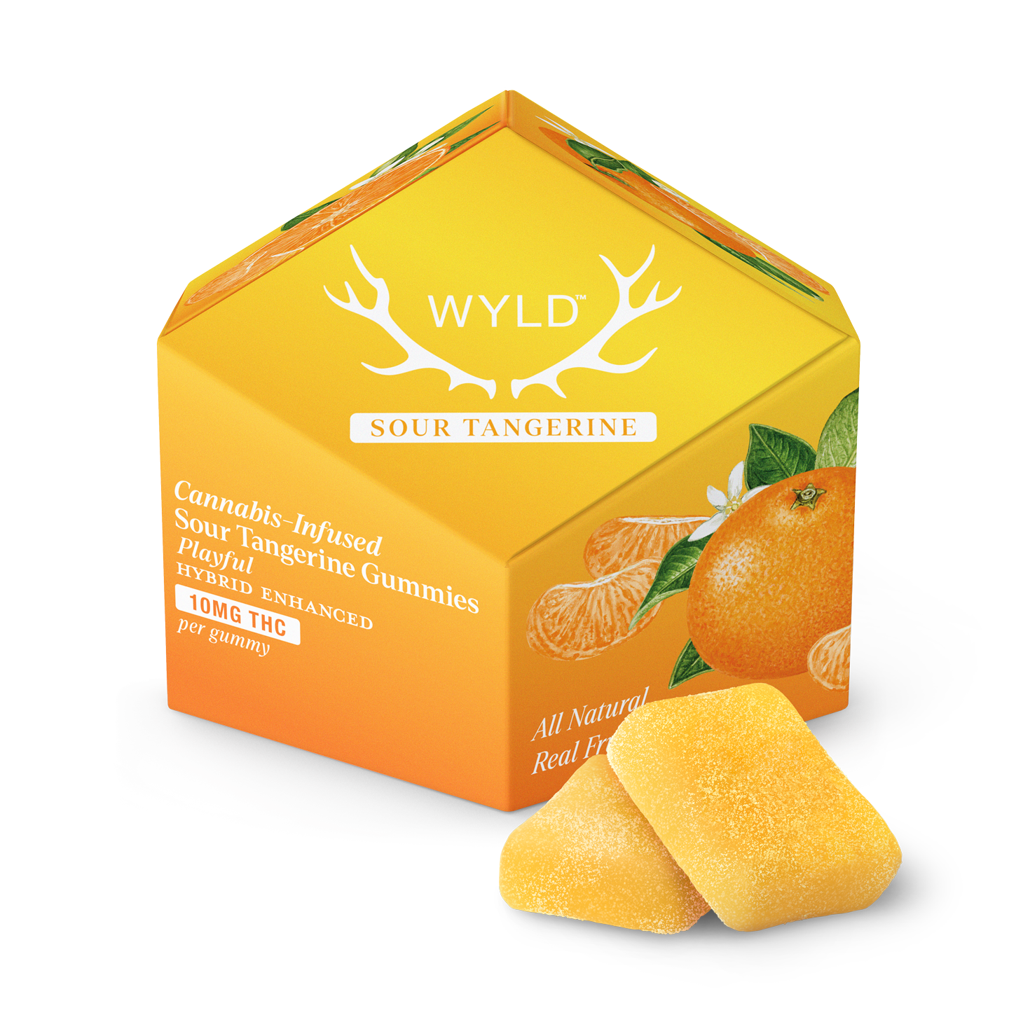 WYLD HEMP 10MG D9 GUMMIES (10CT/PACK)