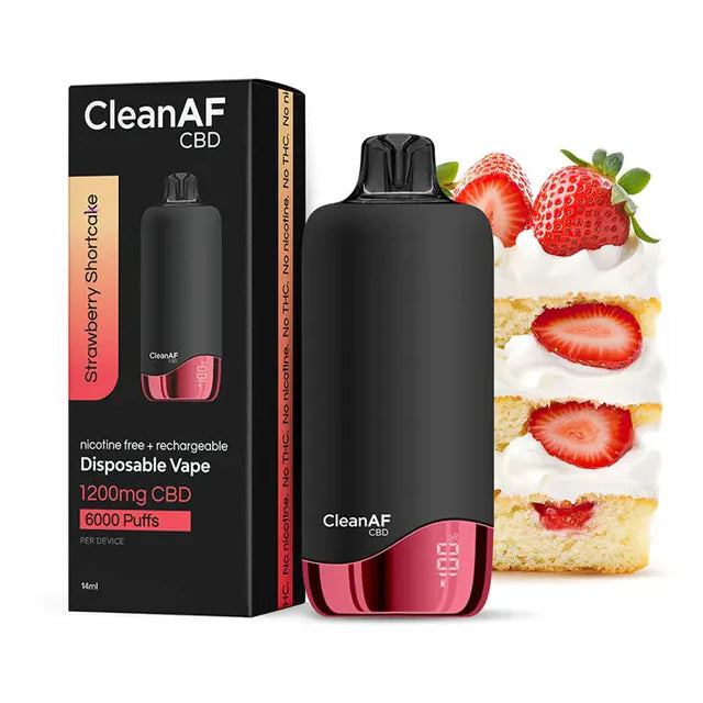 CLEAN AF CBD RECHARGEABLE 14ML DISPOSABLE VAPE (1200MG CBD) – Rising  Wholesale Inc