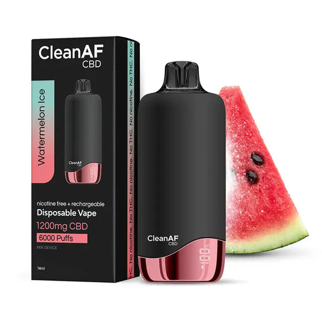 CLEAN AF CBD RECHARGEABLE 14ML DISPOSABLE VAPE (1200MG CBD) – Rising  Wholesale Inc