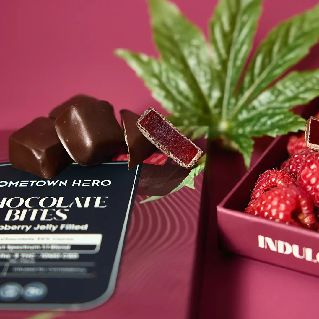 HOMETOWN HERO 20MG D9 CHOCOLATE BITES (12CT BOX) | RASPBERRY JELLY FILLED