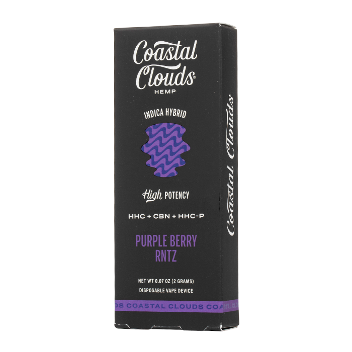 COASTAL CLOUDS 2G DISPOSABLE VAPE