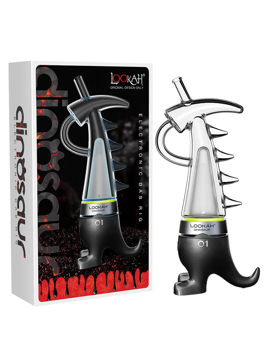 LOOKAH DINOSAUR ELECTRONIC DAB RIG