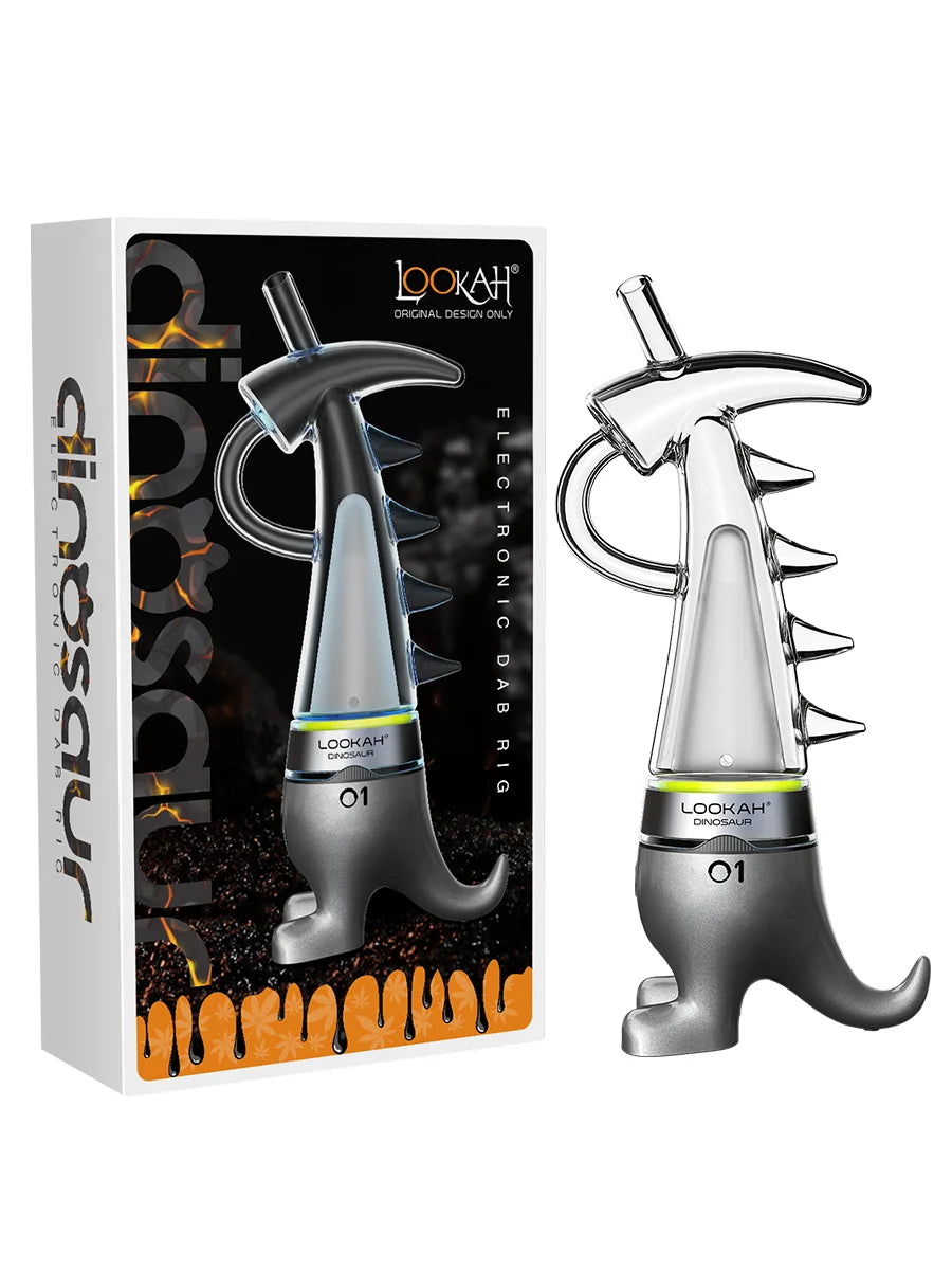 LOOKAH DINOSAUR ELECTRONIC DAB RIG
