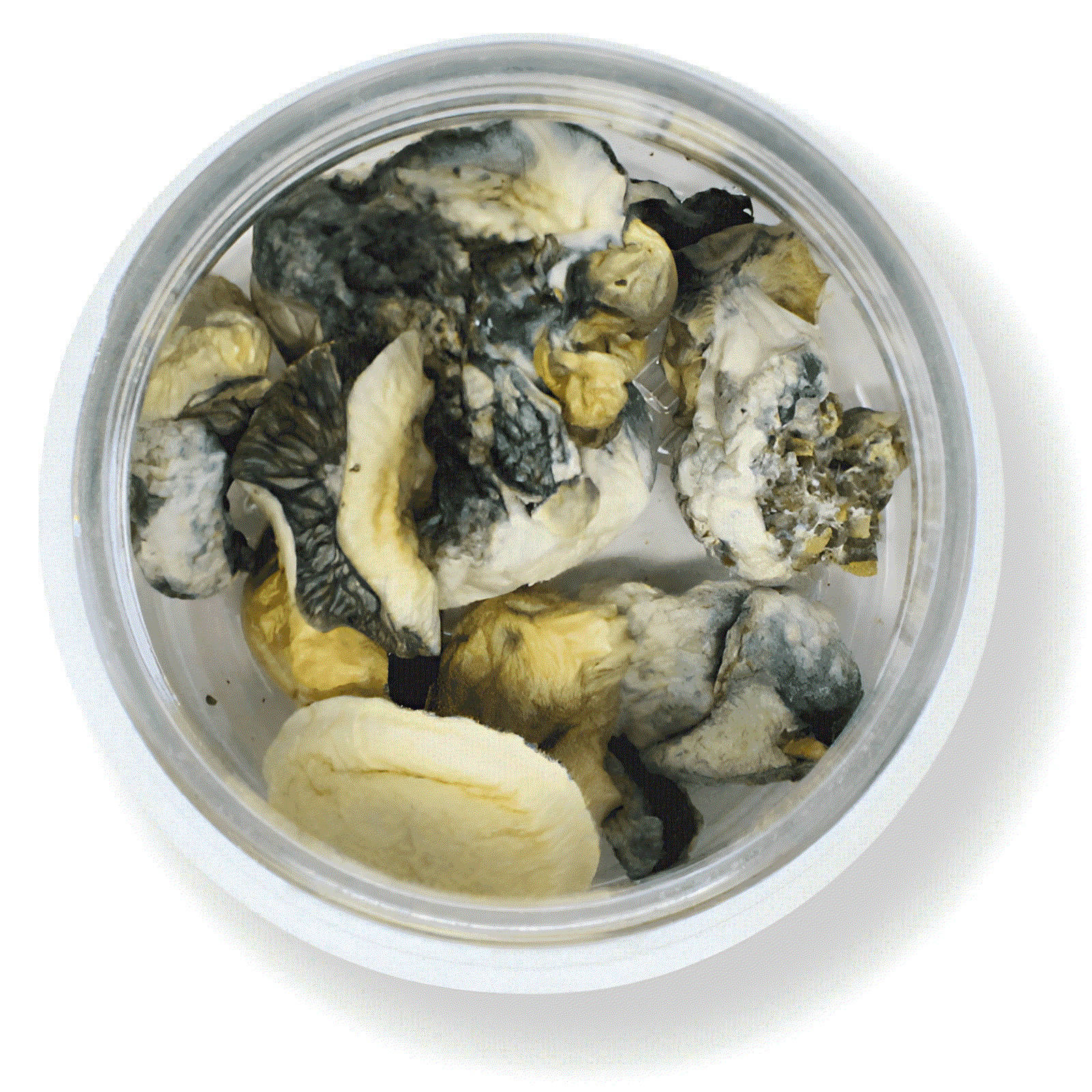 SIMPLE GARDEN MAGIC MUSHROOMS 3.5G JAR | ASSORTED