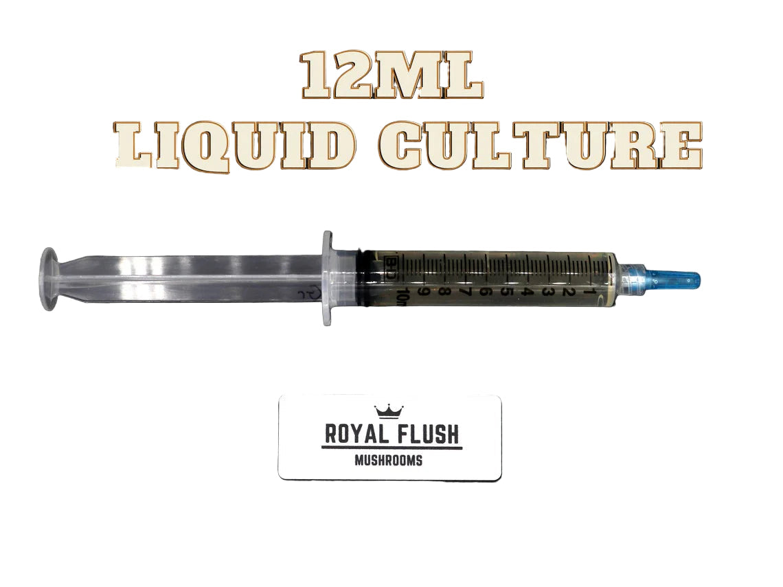 SHRUM 12ML LIQUID CULTURE ASSORTED FLAVORS