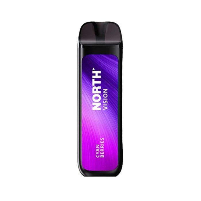 NORTH VISION 15000 PUFSS (5CT DISPLAY)