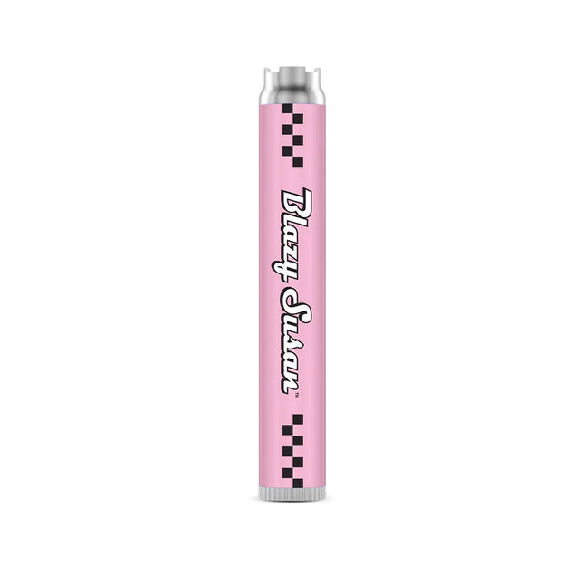 BLAZY SUSAN 650mah BATTERY