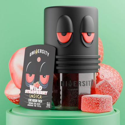 UNIVERISTY LIVE ROSIN THCA 10,000MG GUMMY JAR (500MG/PC)