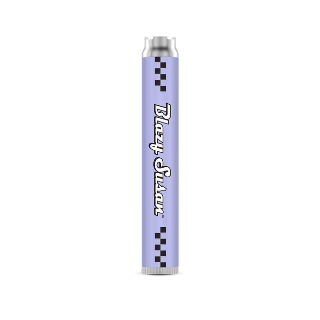 BLAZY SUSAN 650mah BATTERY